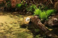 IMG_1637.JPG IMG_1637.JPG