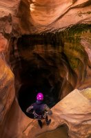 255-fb.jpg 255-fb.jpg