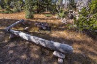 Hidden Lake campsite.jpg Hidden Lake campsite.jpg