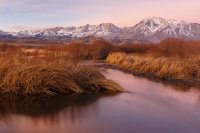 1.4.15 Reflections on Owens River.jpg 1.4.15 Reflections on Owens River.jpg