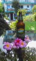 Plumerias and beer.jpg Plumerias and beer.jpg