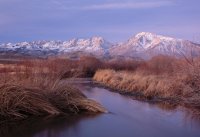 Blue Hour Dawn Closer.jpg