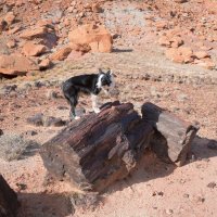 export-1-3.jpg export-1-3.jpg