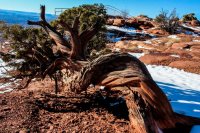 Needles Overlook-21.jpg