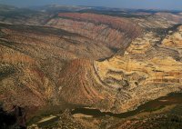 366 imp zoom resized.jpg