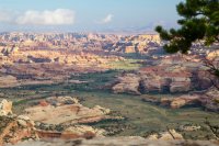 644 IMP 2 resized.jpg