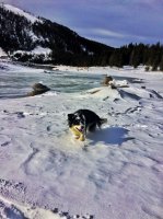 Winston.jpg Winston.jpg