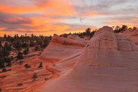 des4 810 imp resized.jpg