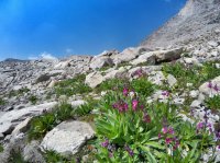 gopr1828-01.jpeg gopr1828-01.jpeg