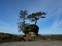 west coast trail 282.JPG