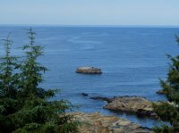 west coast trail 317.JPG