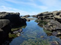 west coast trail 369.JPG