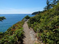 west coast trail 429.JPG