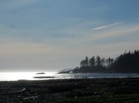 west coast trail 444.JPG