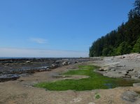 west coast trail 511.JPG