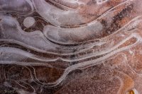 Delicate & Syncline-5.jpg