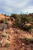 Delicate & Syncline-52.jpg