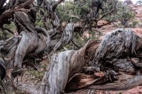 Delicate & Syncline-55.jpg