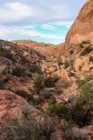 Delicate & Syncline-63.jpg