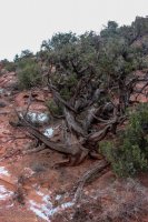 Delicate & Syncline-54.jpg