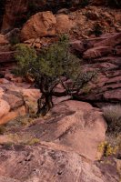 Delicate & Syncline-69.jpg