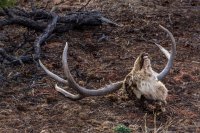 Hike 08.jpg Hike 08.jpg