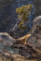 Hike 10.jpg Hike 10.jpg