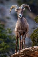 Hike 13.jpg Hike 13.jpg