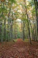 Optimized-Tetons 2008 410.jpg Optimized-Tetons 2008 410.jpg