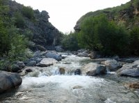 DSCF1877.JPG DSCF1877.JPG