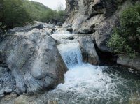 DSCF1878.JPG DSCF1878.JPG