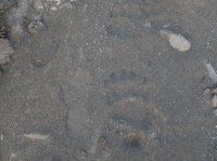 DSCF1904.JPG DSCF1904.JPG