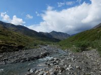 DSCF1917.JPG DSCF1917.JPG