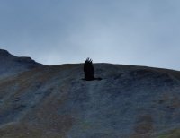 DSCF1939.JPG DSCF1939.JPG