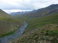 DSCF1966.JPG DSCF1966.JPG