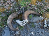 DSCF2052.JPG DSCF2052.JPG