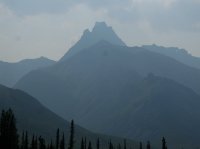 DSCF2180.JPG DSCF2180.JPG