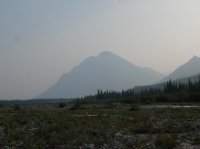 DSCF2195.JPG DSCF2195.JPG