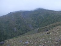 DSCF2229.JPG DSCF2229.JPG