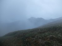 DSCF2234.JPG DSCF2234.JPG