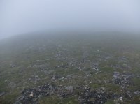 DSCF2243.JPG DSCF2243.JPG