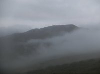 DSCF2245.JPG DSCF2245.JPG