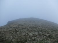 DSCF2253.JPG DSCF2253.JPG