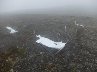 DSCF2267.JPG DSCF2267.JPG