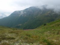 DSCF2273.JPG DSCF2273.JPG