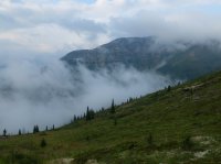 DSCF2282.JPG DSCF2282.JPG