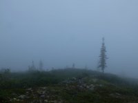 DSCF2283.JPG DSCF2283.JPG