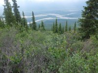 DSCF2284.JPG DSCF2284.JPG