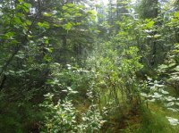 DSCF2285.JPG DSCF2285.JPG