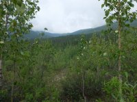 DSCF2286.JPG DSCF2286.JPG